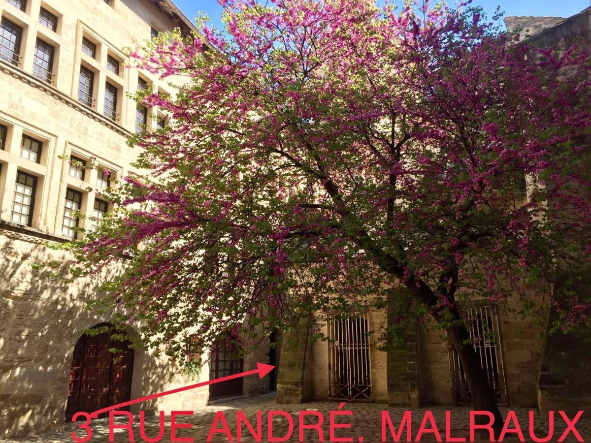 Uzès Appartement A 50 M De La Place Aux Herbes מראה חיצוני תמונה